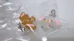 サンリオ　ゆるっとめじるしアクセサリー　ガチャ