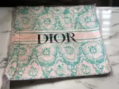 新品　未使用　Dior ノベルティ トートバッグ　緑　底板付　非売品