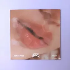 Liza様 リクエスト 2点 まとめ商品