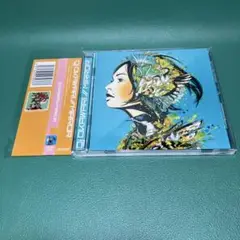 ■[廃盤]DJ OKAWARI アルバムCD「MIRROR」Luv Letter