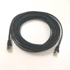 ウルトラ フラット LAN ケーブル 10m 黒 Ankuly カテゴリー7