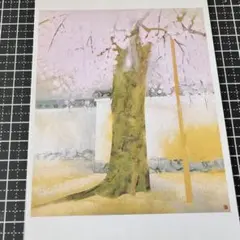 奥村土牛の代表作《醍醐》（1972年作・山種美術館所蔵）の絵ハガキ