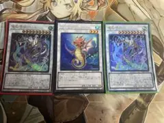 たつのこ　仙々　シェンシェン