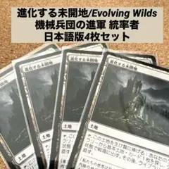 【日本語拡張】乾燥台地4枚 MTG 乾燥台地 日本語版 4枚セット MTG 乾燥台地 4枚 日本語