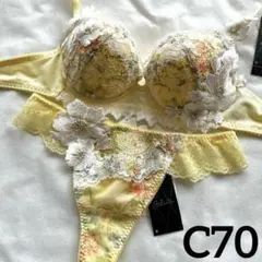 【新品未使用】ワコール サルート C70&タンガM 楽天市場】ワコール Wacoal サルート (Mサイズ)20グループ 定番