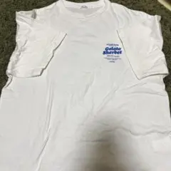 WEGO STANDARD Gelato Sherbet Tシャツ Sサイズ