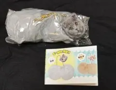 にゃんたますこっと ガチャ スコティッシュ スコ