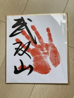 セール中　レア‼️昭和力士サイン入り手形　額入り 大相撲 横綱 昭和 力士 手形 直筆サイン 大相撲 横綱大の里直筆