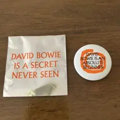 新品7インチEP限定David Bowie isデヴィッドボウイ大回顧展レコード ボウイ展にて完売となった「☆」12インチ・カラーレコードが