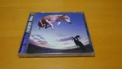 [CD] FLYING DOG / Paul Gilbert
