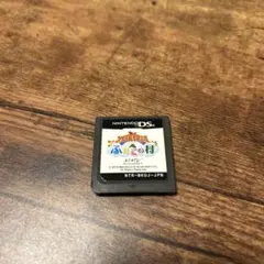 牧場物語　ふたごの村　ニンテンドーDS ゲームソフト