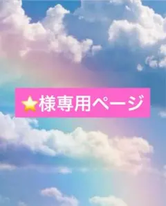 ⭐️様 2点 まとめ商品