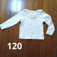 Seraph120cmカットソー