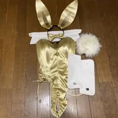 2025年最新】バニーガール ダームの人気アイテム - メルカリ