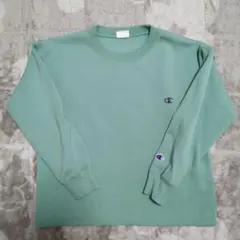 こてつ様専用です。