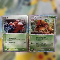 ポケモンカード　パラス　パラセクト　classic