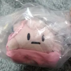 ポケモン1番くじ　E賞 巾着入りマスコット