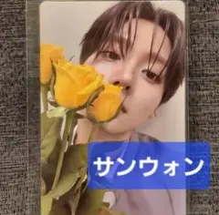 ボイプラ ポップアップ