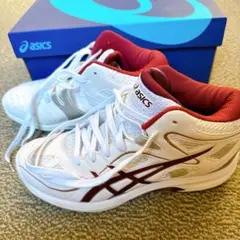asics バスケットボールシューズ 白 24.5㎝ アシックス エンジ