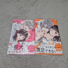 「君をひとりにしてあげない 1〜2」(完結)