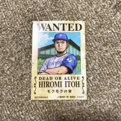 ファイターズ 伊藤大海 伊藤大海 投手 ワンピース ステッカー ONEPIECE