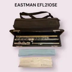 イーストマン　フルート EFL210SE EASTMAN EFL-210SE フルート 【オフセット カバードキイ】 【E