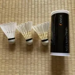 IGNIO バドミントン シャトル 練習用 3個入り