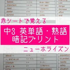 ぴっぴ様 リクエスト 4点 まとめ商品