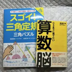 スゴイ！三角定規三角パズル・算数脳2冊セット