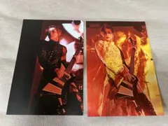 DIR EN GREY Toshiya グッズ まとめ売り DIR EN GREY ANDROGYNOS アクスタ Toshiya セット