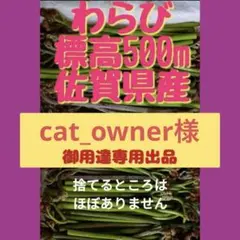 17 cat_owner様専用出品山の天然わらび 標高500m佐賀県産ネコポス