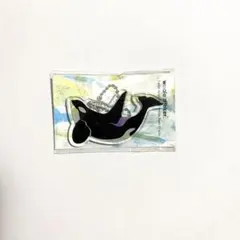 クジラの雑貨屋さん シャチ アクリルキーホルダー