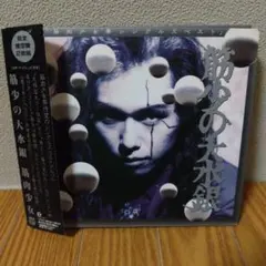 筋肉少女帯 邦楽