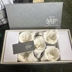 Adam & Eve マグカップセット 5個