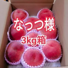なっつ様　山梨県産　天然の桃ジュース　日川白鳳　3kg箱のサムネイル