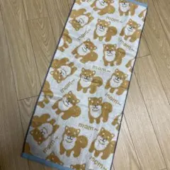 大人気！可愛い　柴犬柄フェイスタオル！