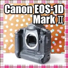EOS 1Ds Mark II 現状品 ジャンク EOS 1Ds Mark II 現状品 ジャンク - メルカリ