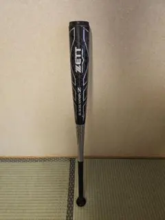 Item thumbnail for item 21f305b1-08b1-428e-83ff-5cf309e53ee9