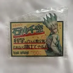 Dr.STONE 石神千空 ヴィレヴァン アクリルネームバッジ