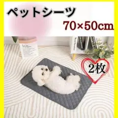 Item thumbnail for item 2f68fd9b-e230-4d74-b31f-a2045019f2de