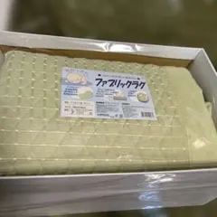 ファブリック　ラグ　ライトグリーン