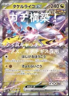 本格構築 【タケルライコオーガポン】デッキ＆二重スリーブ ポケモン - 本格構築 【タケルライコオーガポン】デッキ＆二重