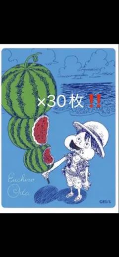 ワンピース 夏コミ 尾田栄一郎 描き下ろし メタキラカード ルフィ 30枚 