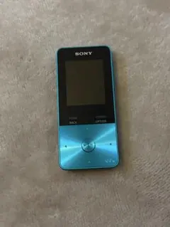 SONY NW-S315 青 SONY Walkman S Series 16GB BLUE NW-S315 NEW | eBay