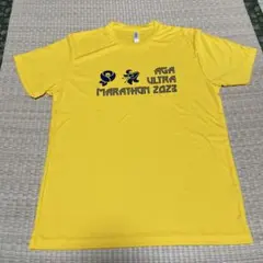 Item thumbnail for item 3337d311-1462-4f27-993a-bf60bc11835a