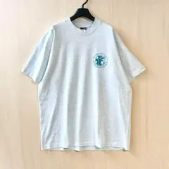 90s USA製 カレッジ コーネル大学 イグアナ 地図 XL /663 - メルカリ