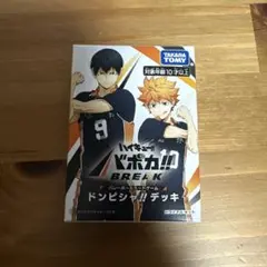 ハイキュー!! ファンパーク バボカ