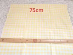 藤久 トーカイ プディング オックス生地 ギンガムチェック イエロー 75cm