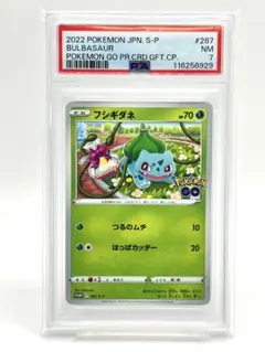 連番！フシギダネ フシギソウ CLF【PSA10】CL Classic 連番！フシギダネ フシギソウ CLF【PSA10】CL Classic - メルカリ