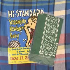 ハイスタ ミュージシャン